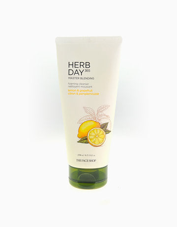 THE FACE SHOP Herb Day 365 Master Blending Foaming Cleanser 170ml (3 Types)